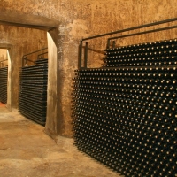 vinos del condado - Bodegas Oliveros