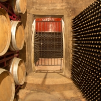 vinos del condado - Bodegas Oliveros