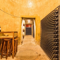 vinos del condado - Bodegas Oliveros