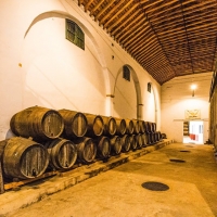 vinos del condado - Bodegas Oliveros